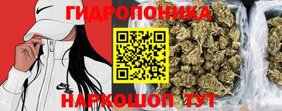 мет Балахна