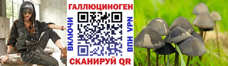Псилоцибиновые грибы мухоморы  цены наркотик  Бугульма 