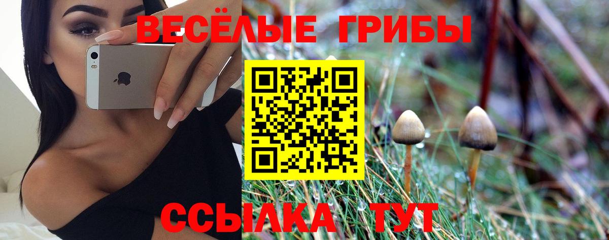 Псилоцибиновые грибы ЛСД Бугульма